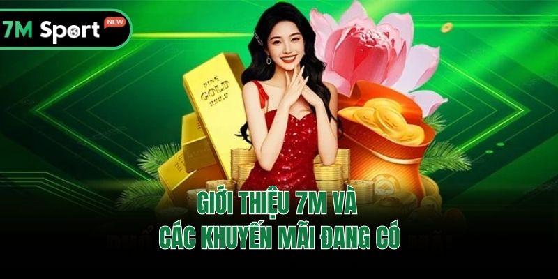 Giới thiệu 7M và các khuyến mãi đang có