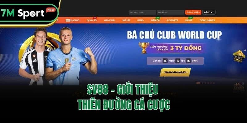 SV88 - Giới thiệu thiên đường cá cược